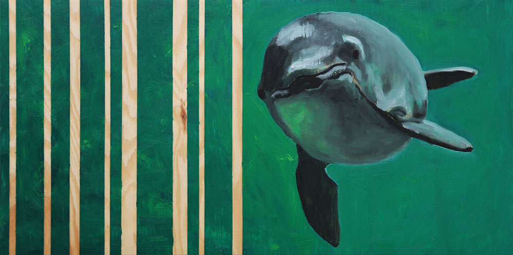 porpoise